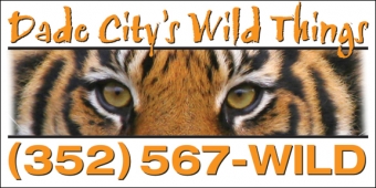Dade City's Wild Things Logo